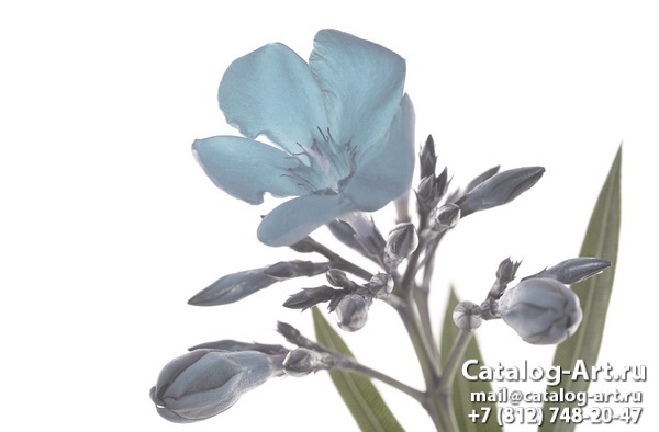 Натяжные потолки с фотопечатью - Голубые цветы 26